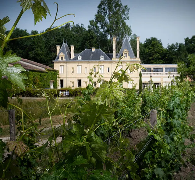 Façade du Château Meyre derrière les rangs de vignes à Avensan.