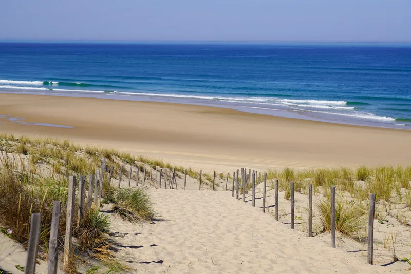 Path between the dunes leading to a beach facing the ocean.
