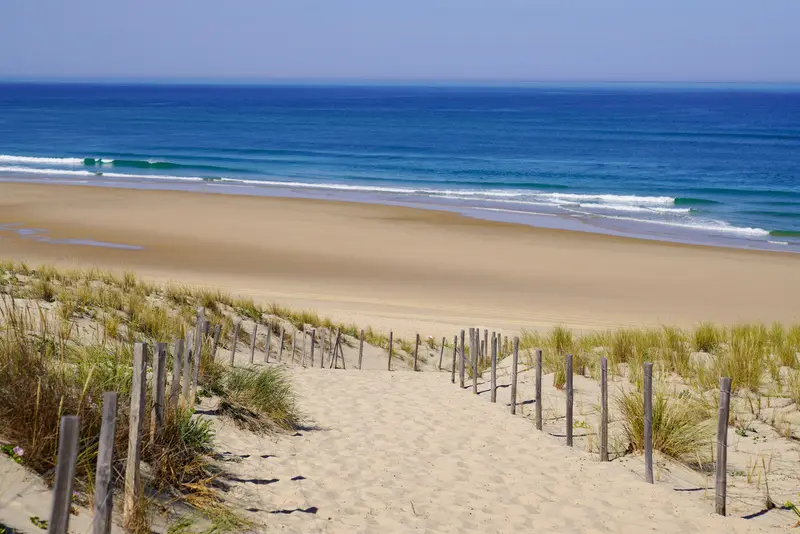Chemin entre les dunes menant à une plage face à l’océan.
