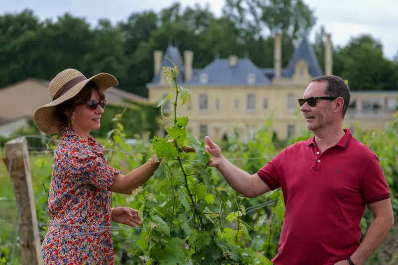 Couple examinant un pied de vigne devant le Château Meyre à Avensan.